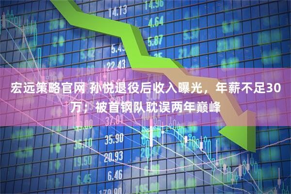 宏远策略官网 孙悦退役后收入曝光，年薪不足30万；被首钢队耽误两年巅峰