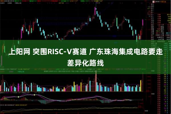 上阳网 突围RISC-V赛道 广东珠海集成电路要走差异化路线