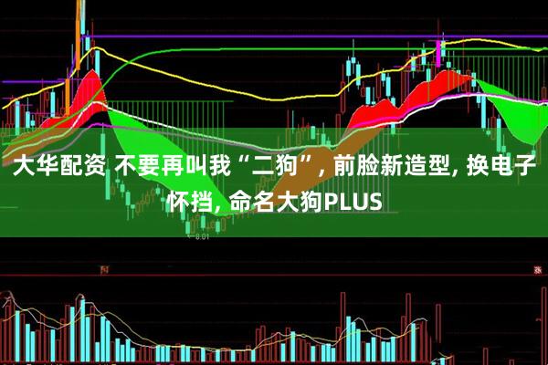 大华配资 不要再叫我“二狗”, 前脸新造型, 换电子怀挡, 命名大狗PLUS